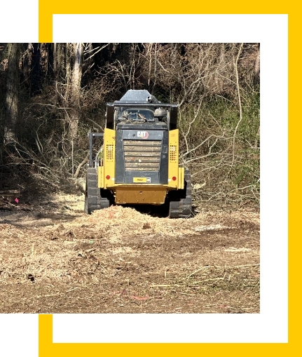 Clearing the Way for New Beginnings